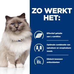 Hill's R/d Weight Reduction - Prescription Diet - Feline 10 Hill's R/d Weight Reduction - Prescription Diet - Feline -Dierenwinkel hills rd weight reduction prescription diet feline 218091 2000 none