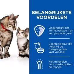 Hill's Science Plan Kitten & Mother Tender Mousse -Dierenwinkel hills science plan kitten mother tender mousse 224035 0500 none