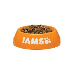 IAMS For Vitality Adult Cat Salmon & Chicken -Dierenwinkel iams adult cat salmon chicken 133736 1000 none