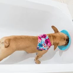 LickiMat Splash -Dierenwinkel lickimat splash 164212 2000 none