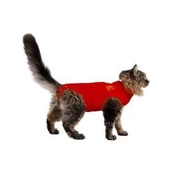 Medical Pet Shirt Kat -Dierenwinkel medical pet shirt kat 167401 1000 none