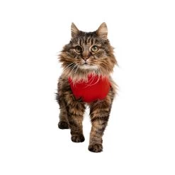 Medical Pet Shirt Kat -Dierenwinkel medical pet shirt kat 167404 1000 none