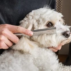 Mikki Doodle Comb 9 Mikki Doodle Comb -Dierenwinkel mikki doodle comb 194444 2000 none