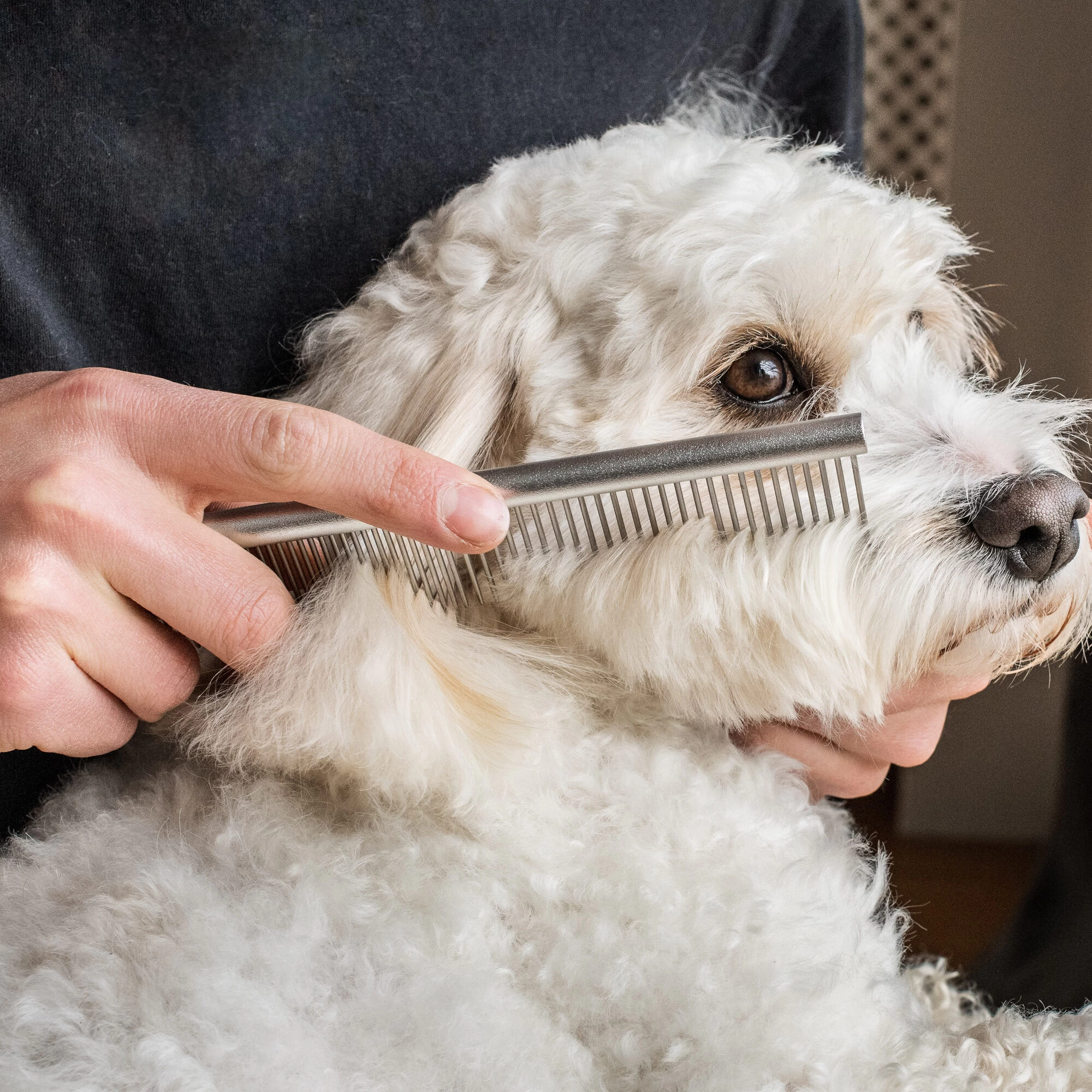 Mikki Doodle Comb 4 Mikki Doodle Comb - Afbeelding 2