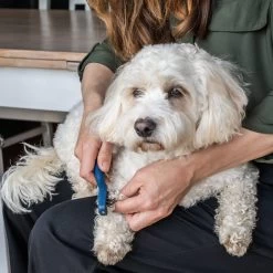 Mikki Doodle De-Matter 9 Mikki Doodle De-Matter -Dierenwinkel mikki doodle de matter 194483 2000 none