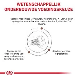 Royal Canin Fibre Response Kat -Dierenwinkel nyI6vuiTbPWeLQqTv2cH7zjGmUvKe5 metaR0FTVFJPSU5URVNUSU5BTC1GSUJSRS1SRVNQT05TRS00LmpwZw