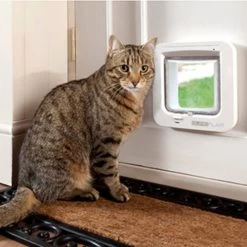 SureFlap Microchip Kattenluik -Dierenwinkel p3pvYfSbnZwTLFjS8xwjla4Ii09W1U metaU3VyZWZsYXAtU2ZlZXIuanBn