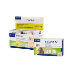 Milpro Kat -Dierenwinkel p6uRcfkkGf7cSwzwmznNV1AQwS94aC metaTWlscHJvLWthdC5qcGc