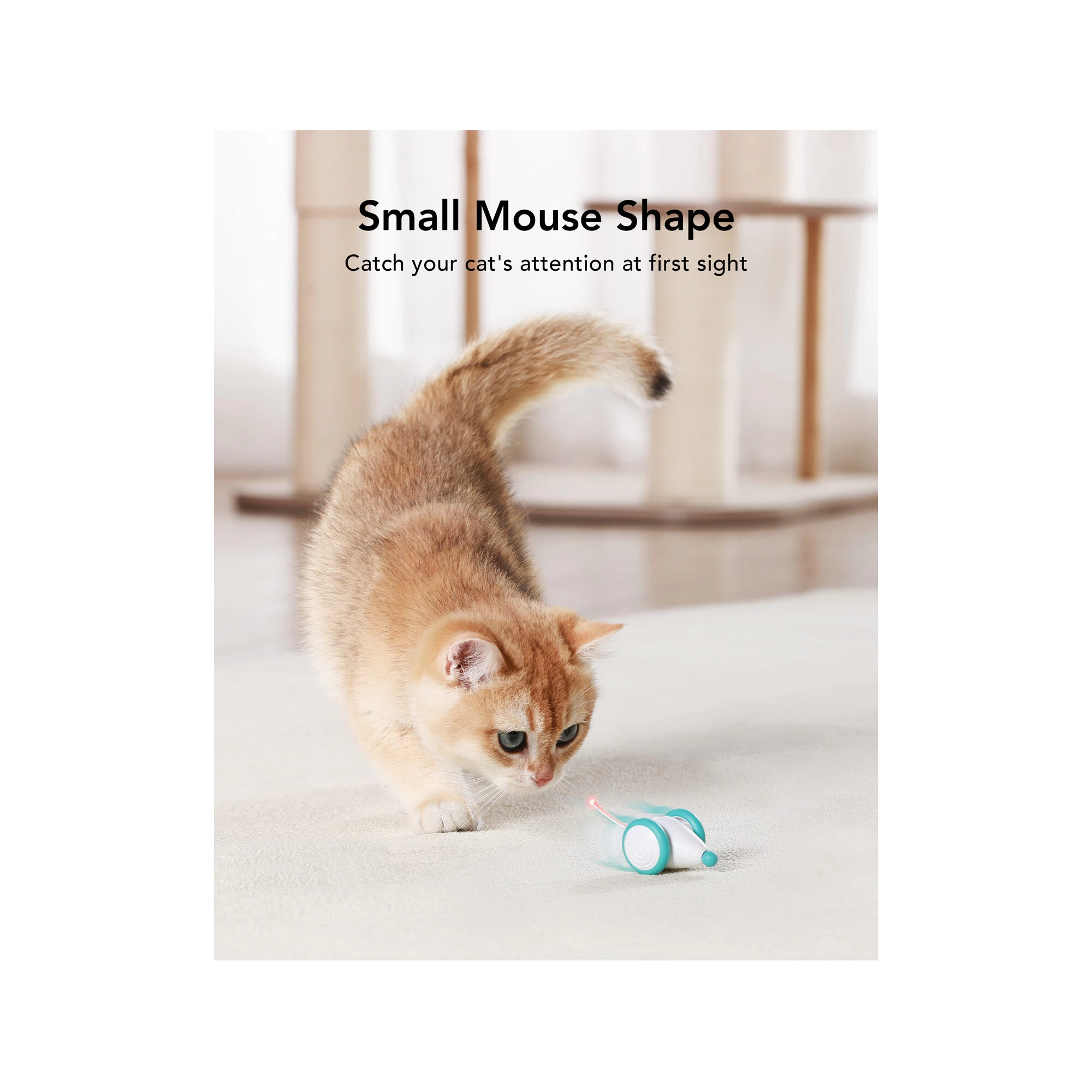 Petlibro Pixie Mouse 5 Petlibro Pixie Mouse - Afbeelding 3