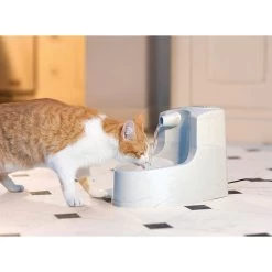Petsafe Drinkwell Mini Drinkfontein - 1.2 L -Dierenwinkel petsafe drinkwell mini drinkfontein 12 l 185815 1000 none