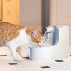 Petsafe Drinkwell Mini Drinkfontein - 1.2 L -Dierenwinkel petsafe drinkwell mini drinkfontein 12 l 208064 1000 none