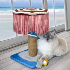 KONG Play Spaces CATbana -Dierenwinkel prod 14645 203480 0500 none