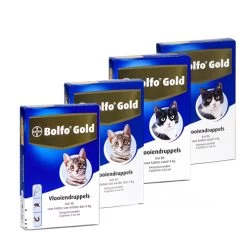 Bolfo Gold Kat -Dierenwinkel product bolfo gold kat none 4 1467098417 70443
