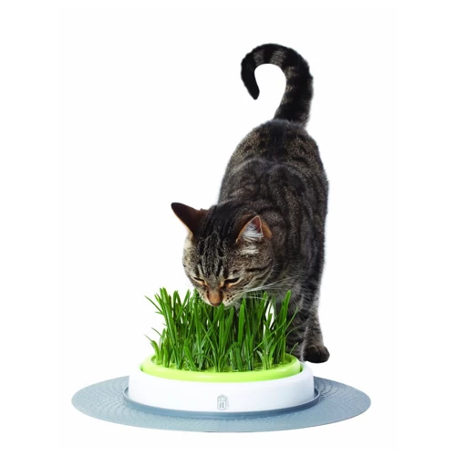Catit Senses Grass Garden - Afbeelding 4