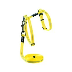 Rogz Beltz - AlleyCat Tuig & Lijn -Dierenwinkel rogz beltz alleycat tuig lijn 110560 0500 none