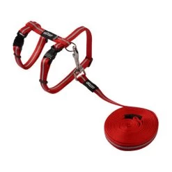 Rogz Beltz - AlleyCat Tuig & Lijn -Dierenwinkel rogz beltz alleycat tuig lijn 110566 0500 none