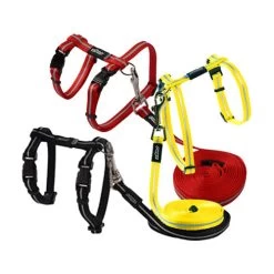 Rogz Beltz - AlleyCat Tuig & Lijn -Dierenwinkel rogz beltz alleycat tuig lijn 119968 0500 none 2