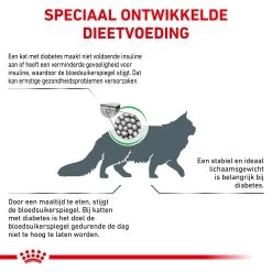 Royal Canin Diabetic Kat - Maaltijdzakje -Dierenwinkel royal canin diabetic kat 156686 2000 none
