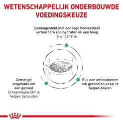 Royal Canin Diabetic Kat - Maaltijdzakje -Dierenwinkel royal canin diabetic kat 156689 2000 none