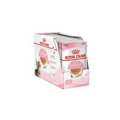 Royal Canin Kitten Sterilised In Jelly - Maaltijdzakje -Dierenwinkel royal canin kitten sterilised in jelly kattenvoer 201959 1500 none