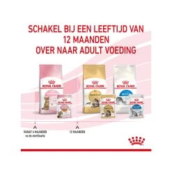 Royal Canin Kitten Sterilised In Jelly - Maaltijdzakje -Dierenwinkel royal canin kitten sterilised in jelly maaltijdzakje 207221 2000 none