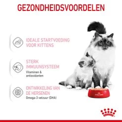 Royal Canin Mother & Babycat Mousse - Kattenvoer -Dierenwinkel royal canin mother babycat mousse kattenvoer 207053 2000 none