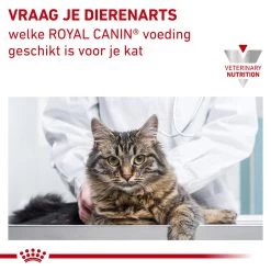 Royal Canin Urinary S/O Kat - Maaltijdzakje -Dierenwinkel royal canin urinary so kat 153625 1000 none