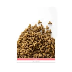 SANIMED Adult Cat -Dierenwinkel sanimed adult cat 159182 1500 none