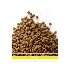 SANIMED Kitten 14 SANIMED Kitten -Dierenwinkel sanimed kitten 159209 1500 none