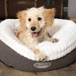 Scruffs Ellen Donut -Dierenwinkel scruffs ellen donut tan 208163 0500 none