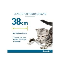 Seresto Kat 16 Seresto Kat -Dierenwinkel seresto kat 174148 0500 none
