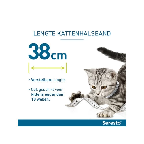 Seresto Kat 7 Seresto Kat - Afbeelding 5