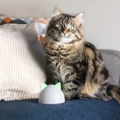 Sureflap Sure Petcare Hub -Dierenwinkel sure petcare hub 219855 2000 none