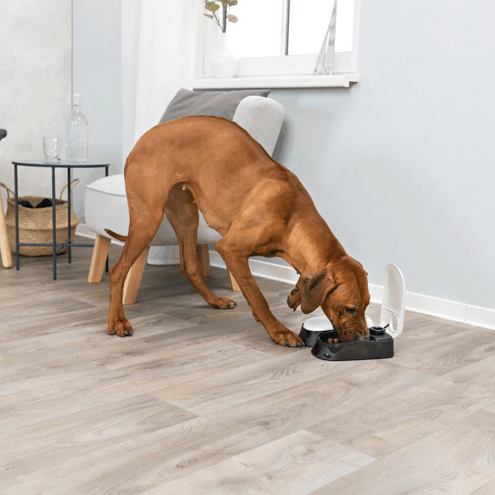 Trixie Dubbele Voederautomaat TX2 6 Trixie Dubbele Voederautomaat TX2 - Afbeelding 4