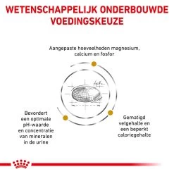 Royal Canin Urinary S/O Moderate Calorie Kat -Dierenwinkel wkq5tOf7itu7AKk3vEJZwKkT3xC5PT metacm95YWxfY2FuaW5fdXJpbmFyeV9zb19tb2RlcmF0ZV9jYWxvcmllX2thdF8xNTM3OTZfMTAwMF9ub25lLmpwZw