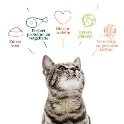 Yarrah Bio Cat Pouch - Chicken In Gravy 12 Yarrah Bio Cat Pouch - Chicken In Gravy -Dierenwinkel yarrah bio cat pouch chicken in gravy 200444 1000 none